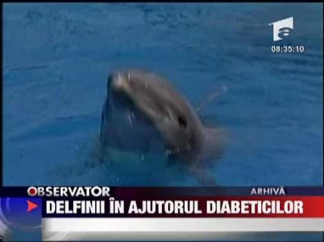 Delfinii veniti in ajutorul diabeticilor
