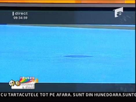 O schema mai speciala la patinaj