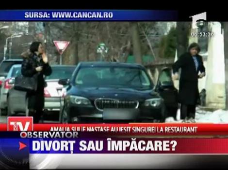 Divort sau impacare in familia Nastase?