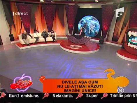 Simona Patruleasa, atunci si acum