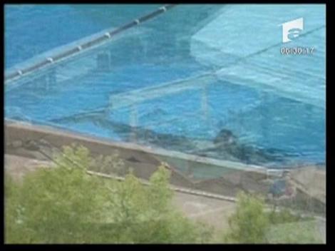 Antrenoare ucisa de balena