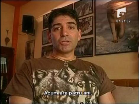 Caine in scaun cu rotile