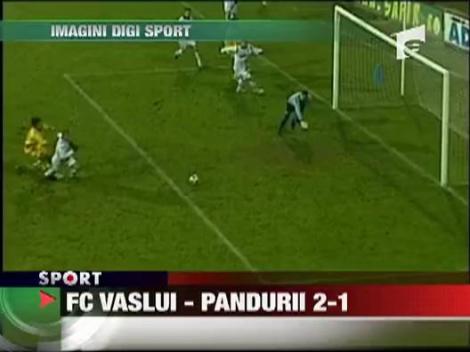FC Vaslui - Pandurii 2-1