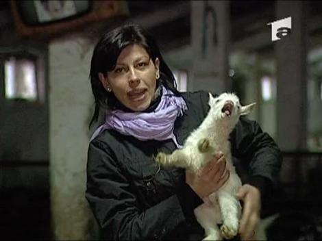 Cum reactioneaza un ied-vedeta