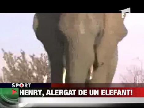Henry, alergat de un elefant
