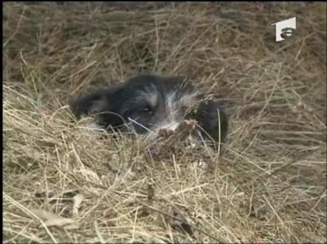 Fara curent electric, dar cu Internet