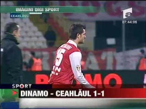 Dinamo - Ceahlaul 1-1