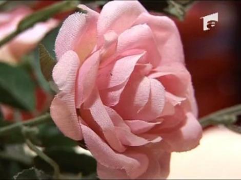 Lege impotriva vrajitoarelor