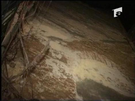 Viscol si troiene in martie