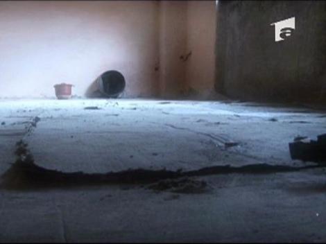 Super Bingo Metropolis i-a schimbat viata