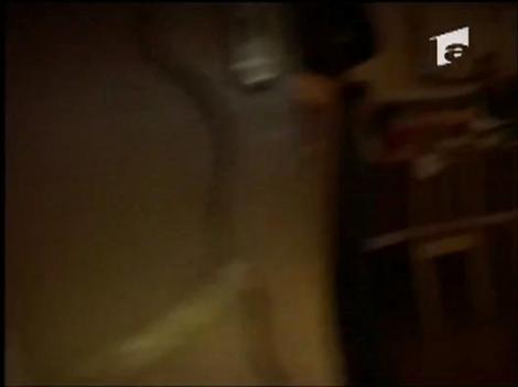 Tolea nu si-a schimbat naravul