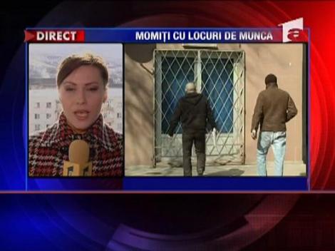 Inselati cu locuri de munca