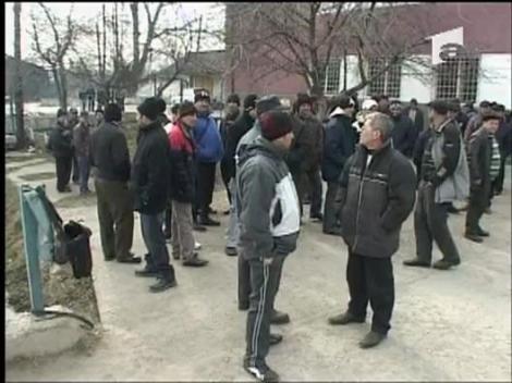 Greva la companiei Energoconstructia