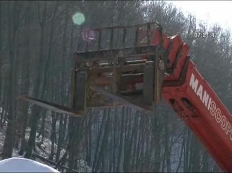 Excavatoare furate din strainatate