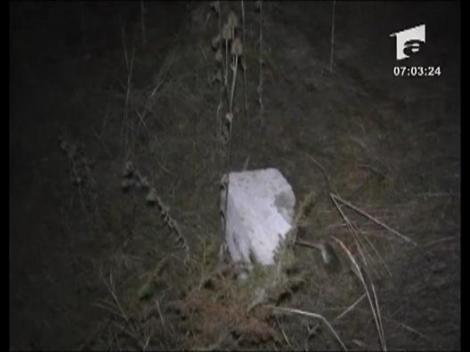 Un batran a scapat cu viata dupa ce a cazut cu masina in rapa