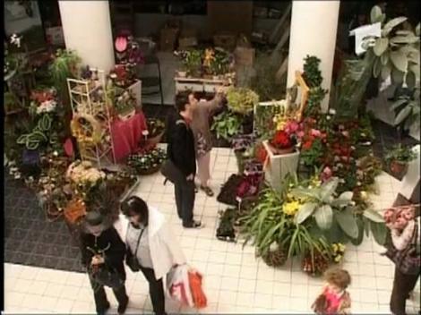 Expozitie de flori la Sibiu