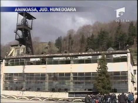 Aninoasa, oras in faliment