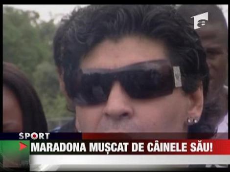 Maradona a fost muscat de fata