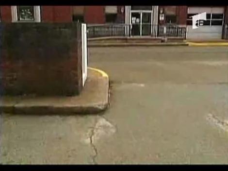 Condamnat la inchisoare pentru ca a latrat la un caine