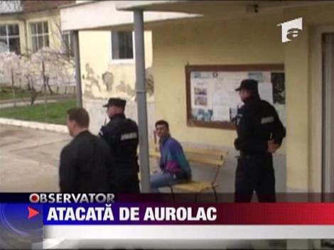 Injunghiata de un aurolac - UPDATE