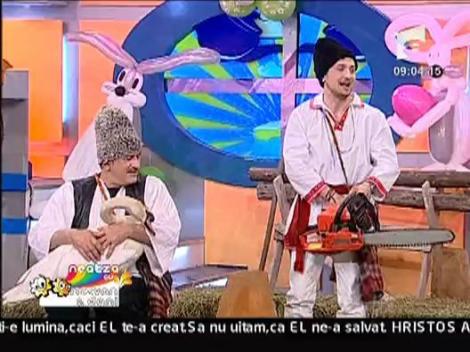 Dani face scobitori cu drujba