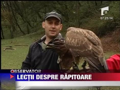 Lectii despre rapitoare