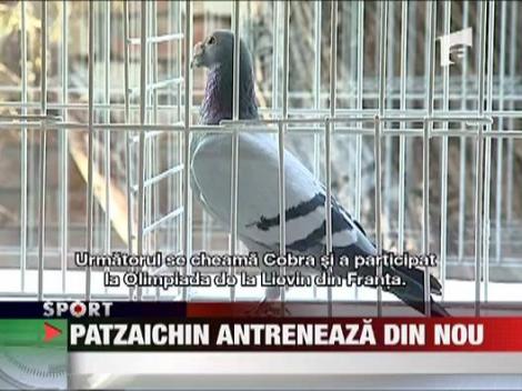Patzaichin antreneaza din nou