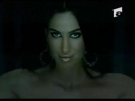 Alina Puscau, plagiat de lux