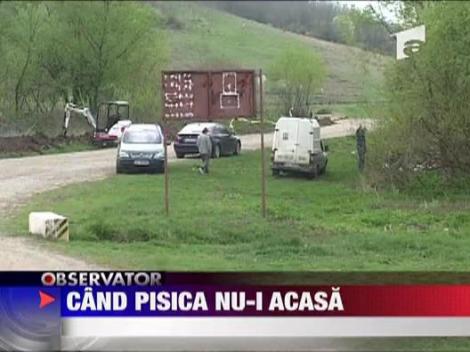 Cand pisica nu-i acasa! Politia in concediu!