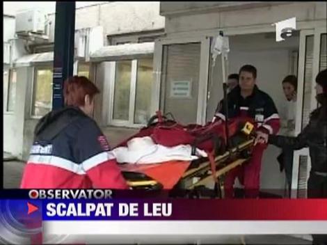 Copil scalpat de leu la Zoo