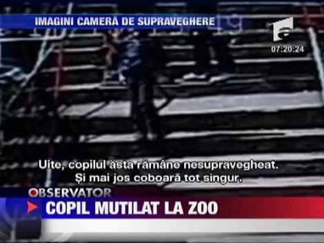Copil mutilat la Zoo - IMAGINI SOCANTE