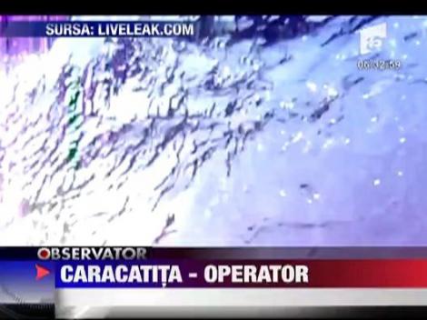 Caracatita devenita cameraman