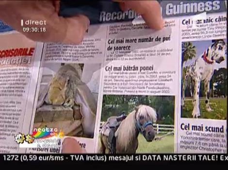 Titluri amuzante in reviste colorate