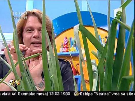 Piept de curcan taranesc