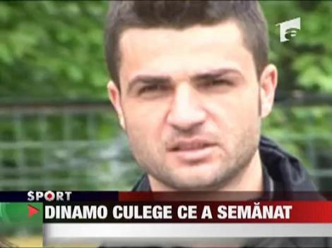 Razvan Lucescu: "Dinamo culege ce a semanat!"