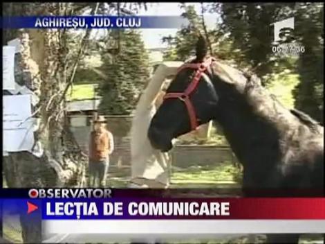 Calul, interlocutor la lectia de comunicare!