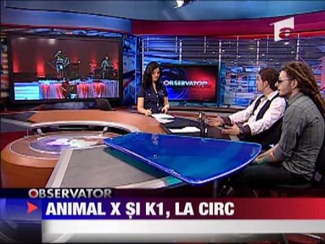 Animal X si K1 canta la circ