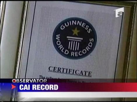 Cel mai mare cal din lume