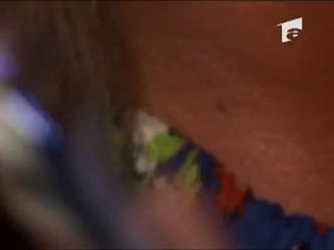 Afla cum se lasa cucerite divele autohtone!