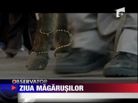 Mexicanii sarbatoresc ziua magarusului