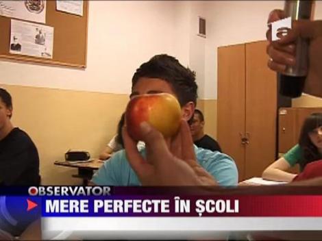 Merele injectate din import ar putea ajunge la elevi