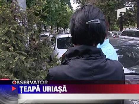 Teapa imobiliara de sute de mii de euro