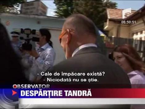 Despartire tandra