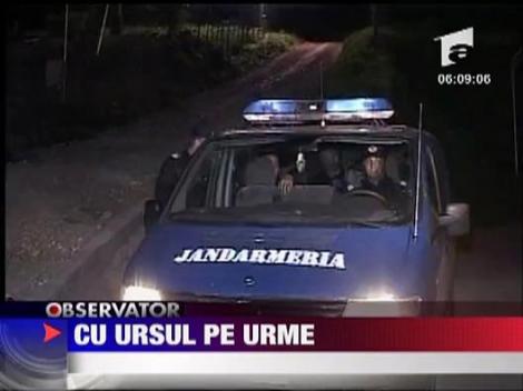 S-au intalnit cu ursul