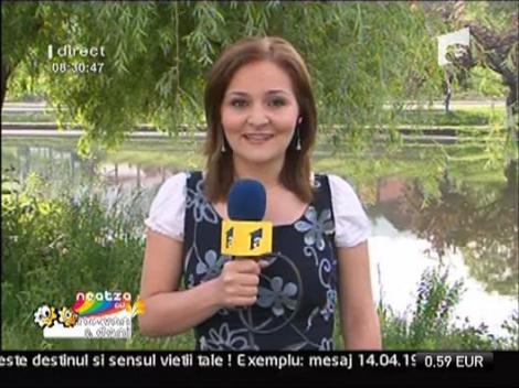 Vremea cu Daniela Crudu - 12 mai
