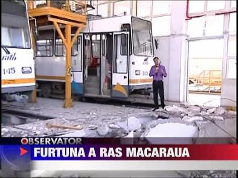 Macara doborata de vant