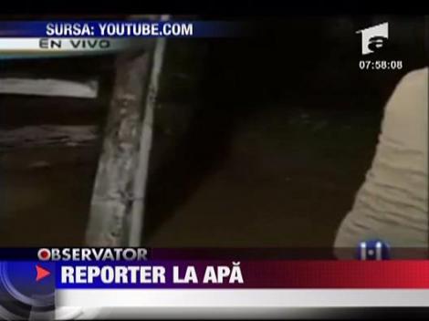 Reporter la apa