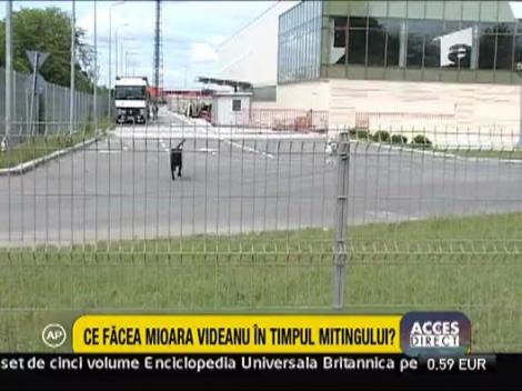 Vezi ce facea Mioara Videanu  in timpul mitingului