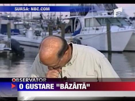 Un jurnalist american a inghitit o musca in direct