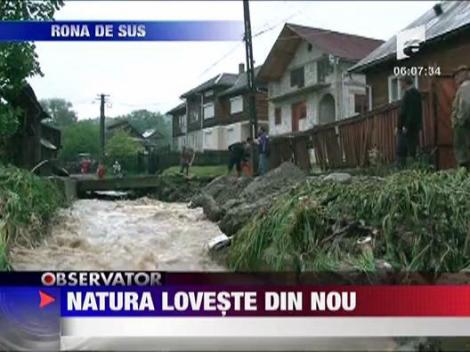 Natura loveste din nou